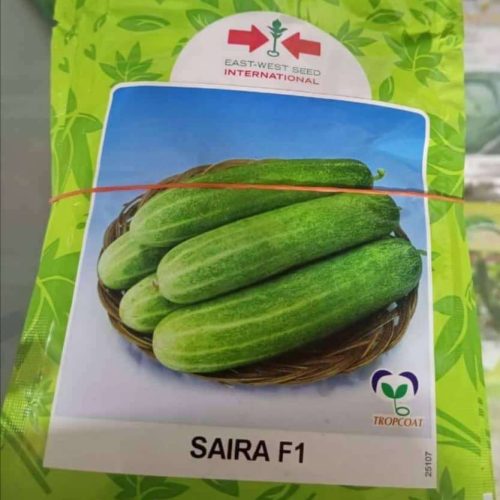 East West Saira F1 Cucumber (10g)