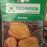 Technisem Big Sun