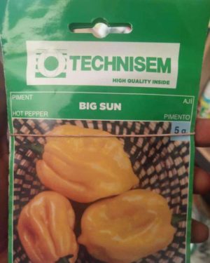 Technisem Big Sun