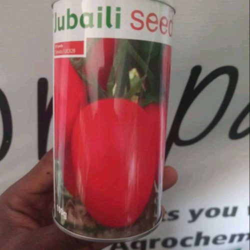 Tomatoes UC-82B Jubaili Brand | 100g