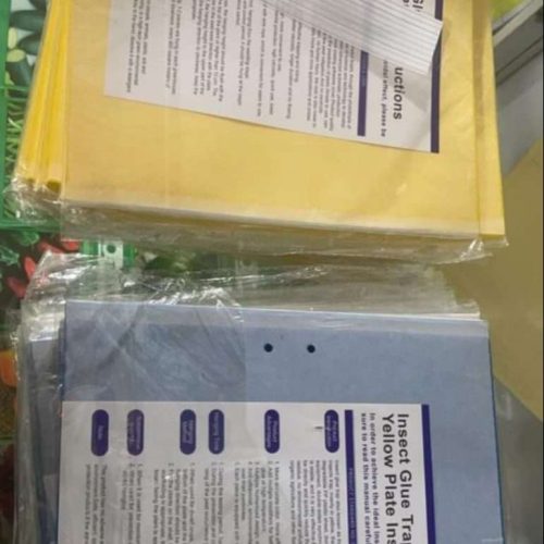 Insect Sticky/Glue Trap