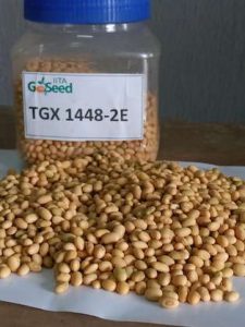 Soyabean Seed (TGX-1448-2E) - 5kg