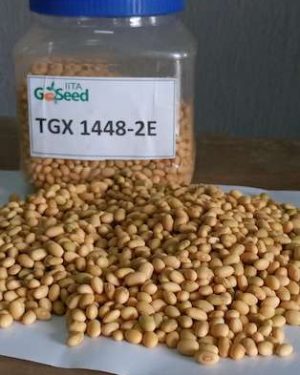 Soyabean Seed (TGX-1448-2E) - 5kg