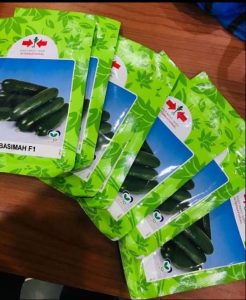 East West Basimah F1 Seedless Cucumber Seed (500 Seeds)