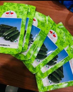 East West Basimah F1 Seedless Cucumber Seed (500 Seeds)