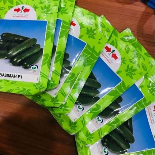 East West Basimah F1 Seedless Cucumber Seed (500 Seeds)