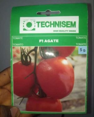 F1 Agate Tomato Seed (Technisem