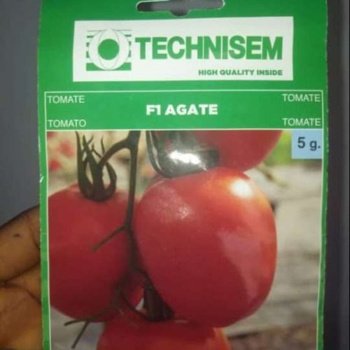 Technisem Agate F1 Tomato Seed (5g)