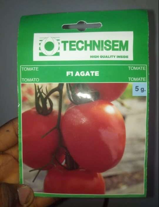 F1 Agate Tomato Seed (Technisem
