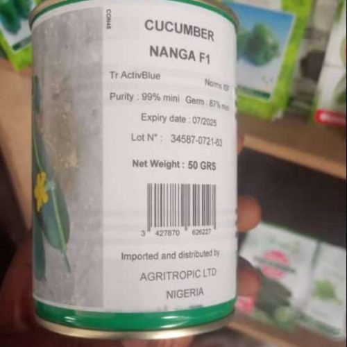 Cucumber Nanga F1 Technisem | 50g