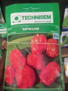 Antillais Hot Pepper Seed