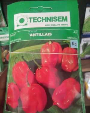 Antillais Hot Pepper Seed