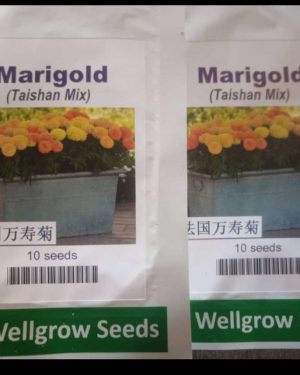 Wellgrow Marigold Taishan Mix (10 Seeds)