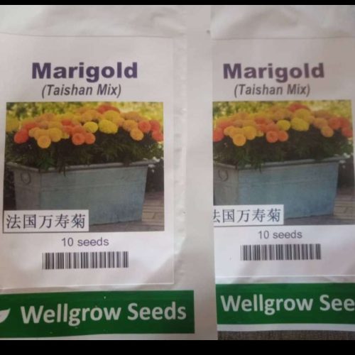 Wellgrow Marigold Taishan Mix (10 Seeds)