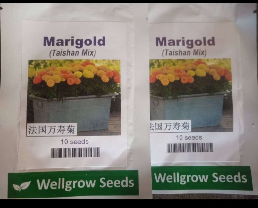 Wellgrow Marigold Taishan Mix (10 Seeds)
