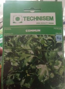 Technisem Commun Parsley Seeds