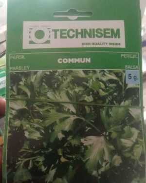 Technisem Commun Parsley Seeds