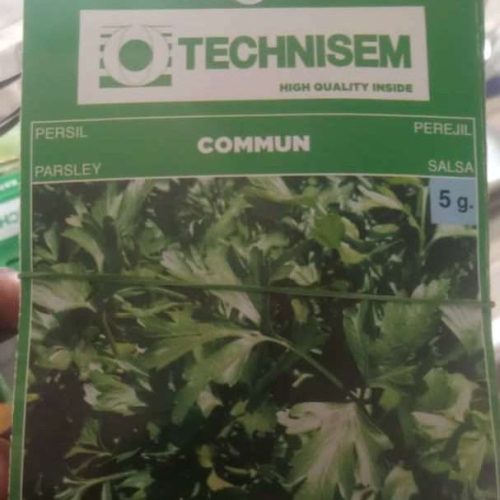 Technisem Commun Parsley Seeds (5g)