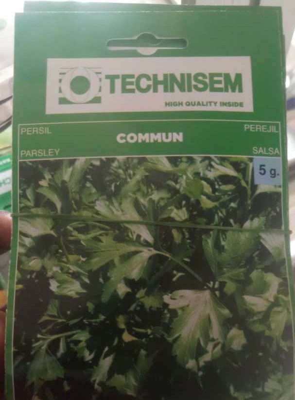 Technisem Commun Parsley Seeds