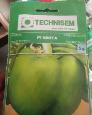 Technisem Nikita F1 Sweet Pepper