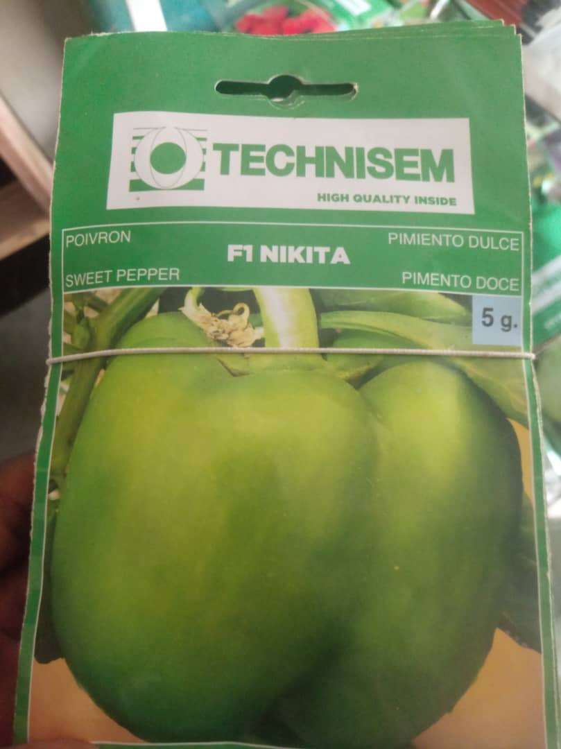 Technisem Nikita F1 Sweet Pepper