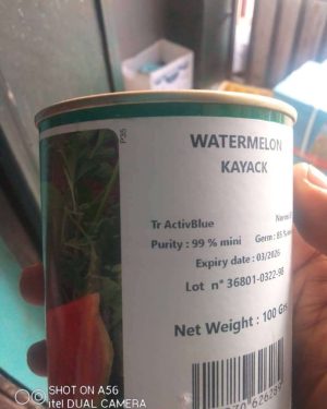 Technisem Kayack Watermelon Seed (100g)