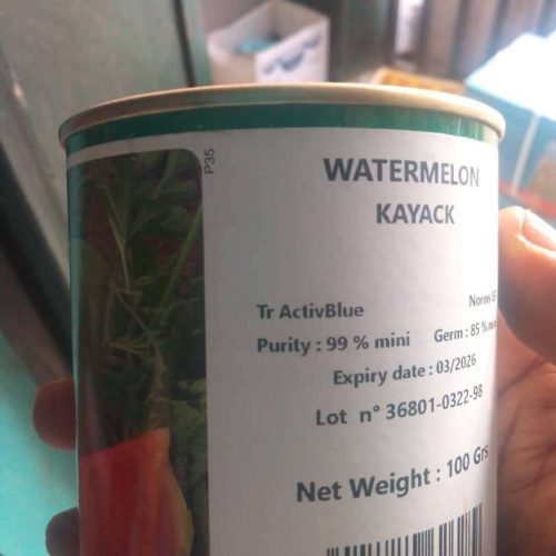 Technisem Kayack Watermelon Seed (100g)