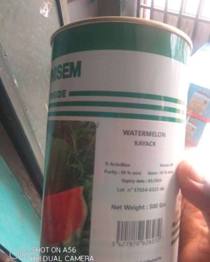 Technisem Kayack Watermelon Seed