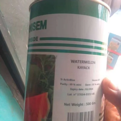 Technisem Kayack Watermelon Seed (500g)