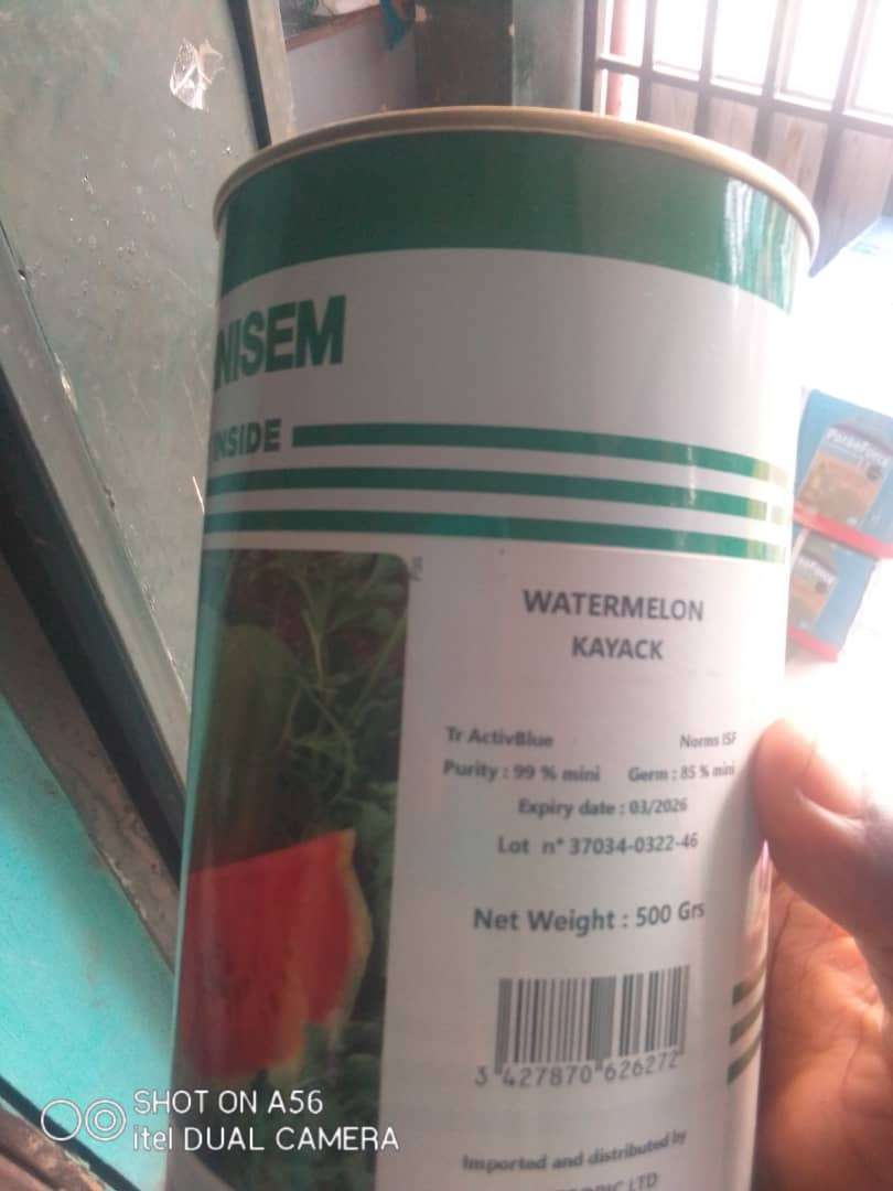 Technisem Kayack Watermelon Seed