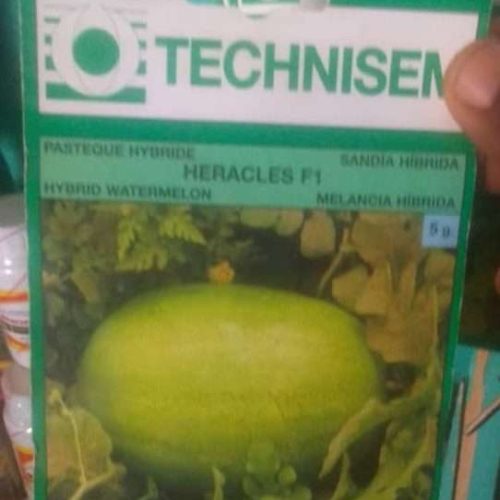 Technisem Heracles Watermelon – 5g