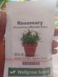 Rosemary (Rosmarinus officinalis Rosy) Seeds | 0.05g (30 Seeds)
