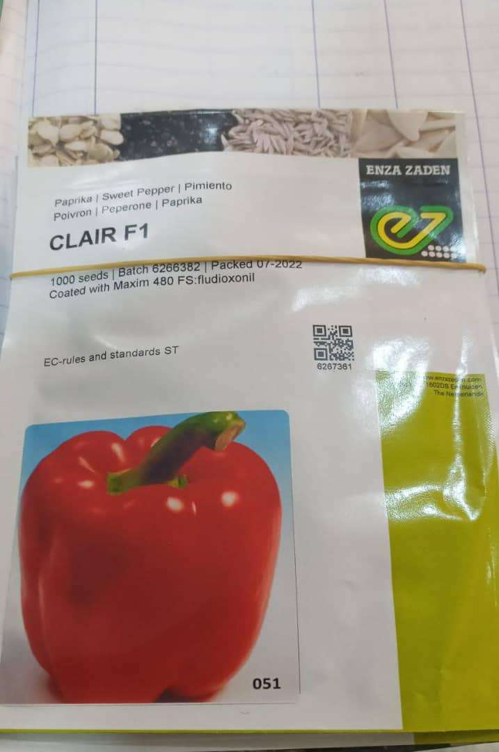 Clair F1 Red Bell Pepper Seed (1000 Seeds)