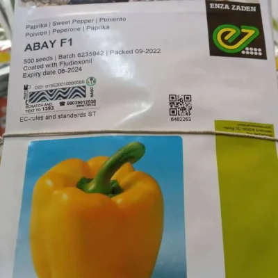 Pepper Abay G/Y (Sweet) F1 Yellow | 500 Seeds