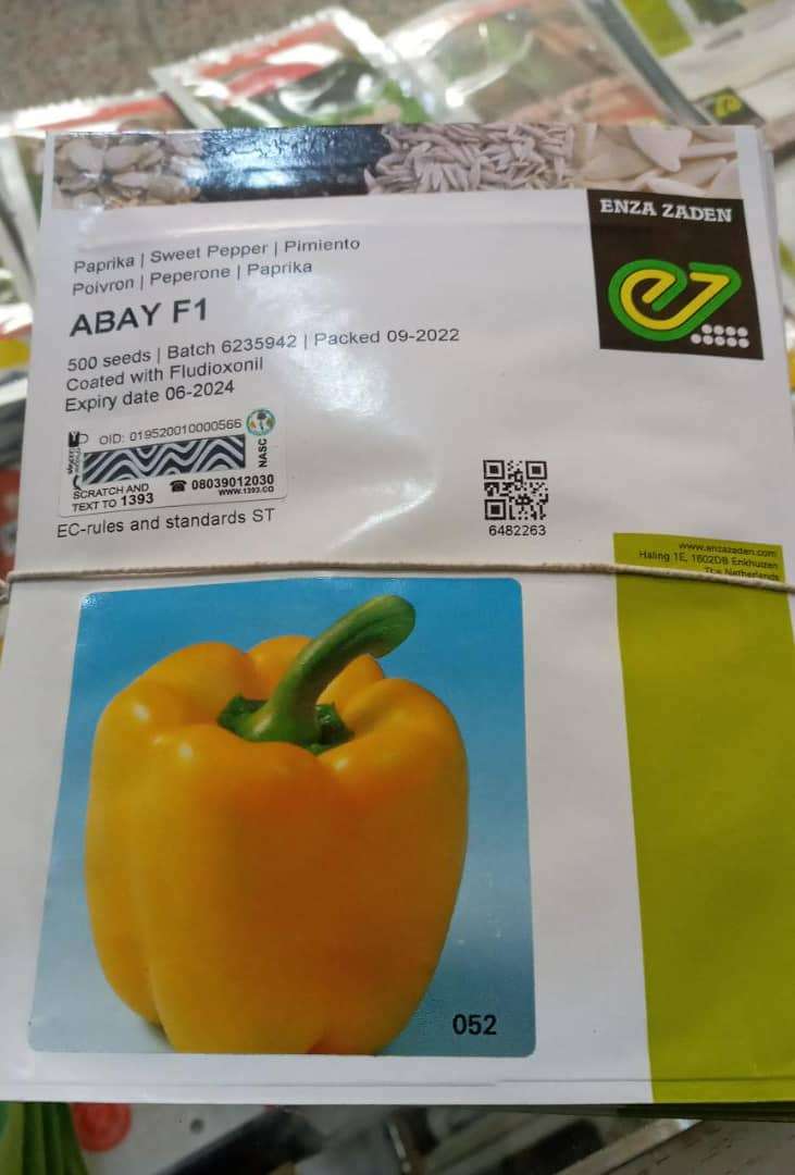 Pepper Abay G/Y (Sweet) F1 Yellow | 1000 Seeds from HTS Farms