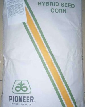 Pioneer Hybrid Corn Seed (1 Hectare Bag)