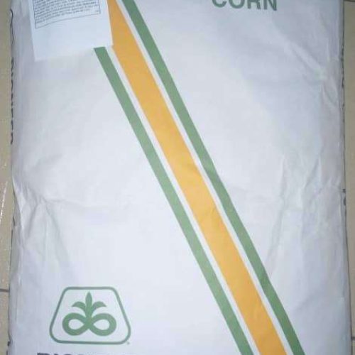 Pioneer Hybrid Corn Seed (1 Hectare Bag)