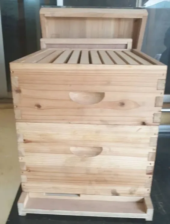 Langstroth Bee Hive | 10 Frames - Image 3
