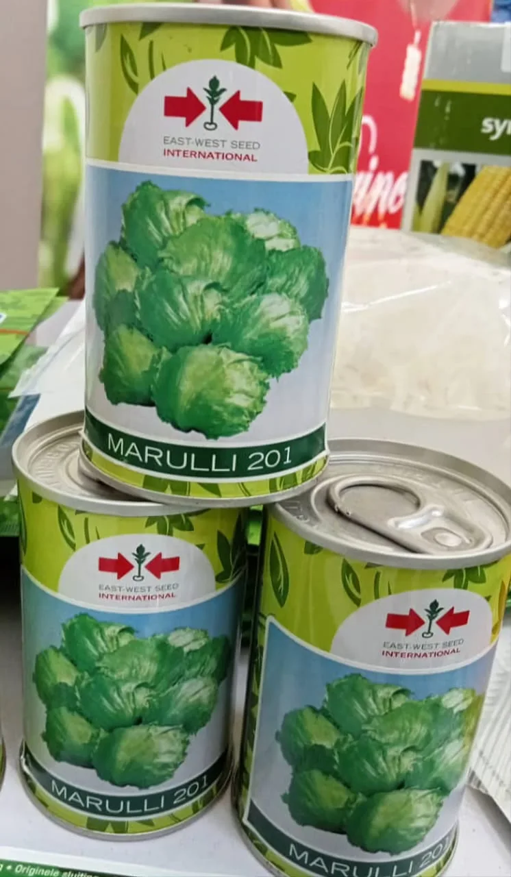 Marulli 201 Iceberg Lettuce (5g)