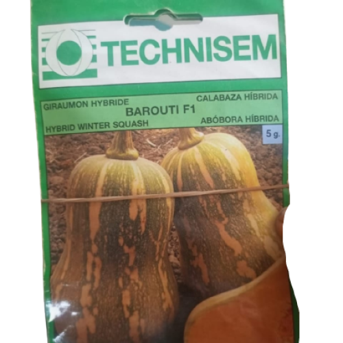 Technisem Barouti F1 (5g)