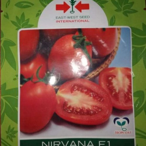 East West Nirvana F1 Tomato Seed | 5g
