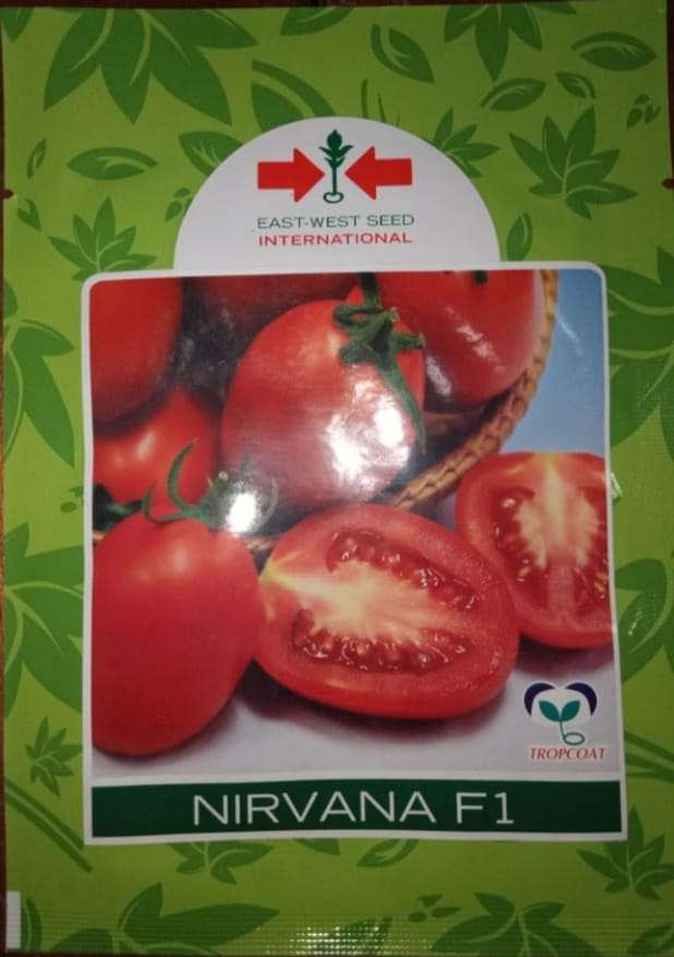 East West Nirvana F1 Tomato Seed | 5g