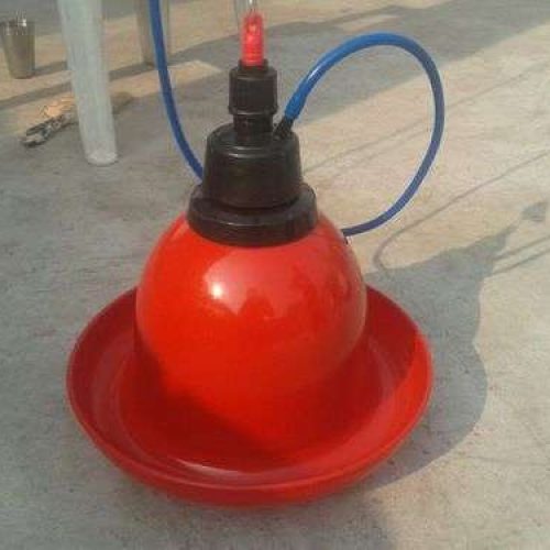 Indian Bell Drinkers