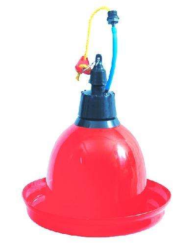 Indian Bell Drinkers - Image 2