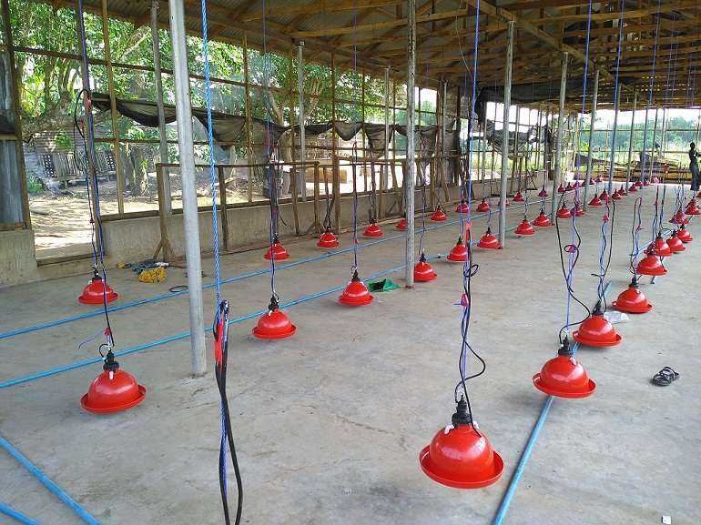 Chinese Bell Drinkers - Image 2
