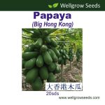 Papaya Big Hong Kong
