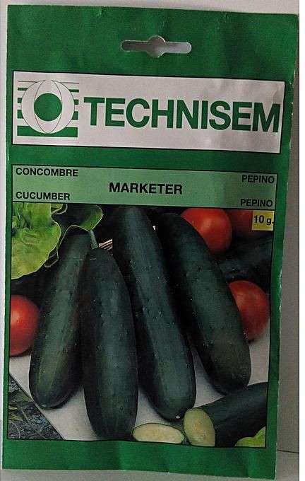 Technisem Cucumber Marketer Seed | 10g - Image 2