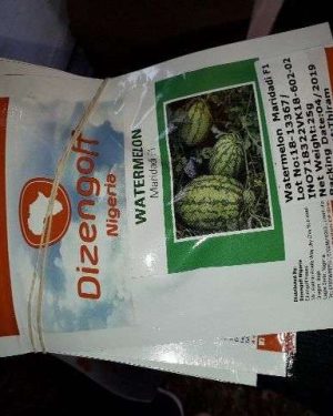 Dizengoff Maridadi Watermelon Seeds
