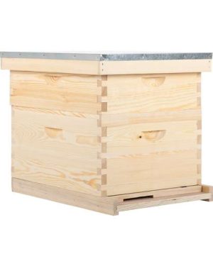 Langstroth Bee Hive | 10 Frames