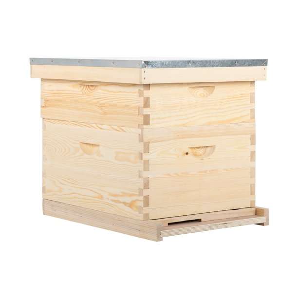 Langstroth Bee Hive | 10 Frames